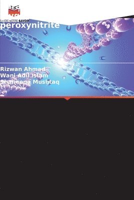Rizwan Ahmad, Wani Adil Islam, Shaheena Mushtaq - Caractérisation de l'ADN glyqué modifié par le peroxynitrite, Häftad