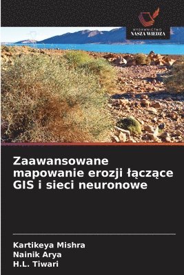 bokomslag Zaawansowane mapowanie erozji l?cz?ce GIS i sieci neuronowe