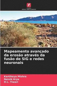 bokomslag Mapeamento avançado da erosão através da fusão de SIG e redes neuronais