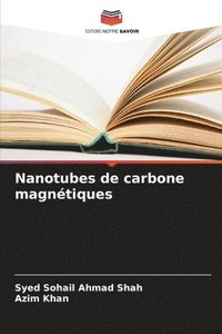 bokomslag Nanotubes de carbone magnétiques