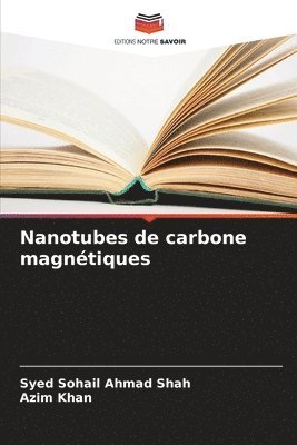 bokomslag Nanotubes de carbone magnétiques
