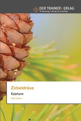 Zirbeldrse 1