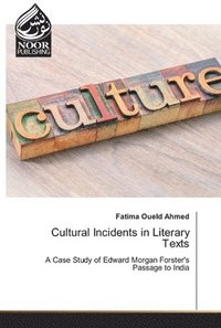 bokomslag Cultural Incidents in Literary Texts