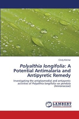 Polyalthia longifolia 1