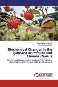 bokomslag Biochemical Changes in the Lymnaea acuminata and Channa striatus
