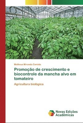 Promoo de crescimento e biocontrole da mancha alvo em tomateiro 1