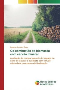 bokomslag Co-combusto de biomassa com carvo mineral