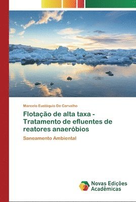 bokomslag Flotao de alta taxa - Tratamento de efluentes de reatores anaerbios