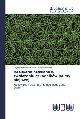 Beauveria bassiana w zwalczaniu szkodnikw palmy olejowej 1