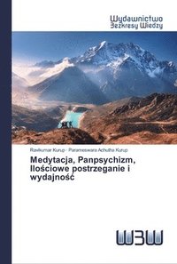 bokomslag Medytacja, Panpsychizm, Ilo&#347;ciowe postrzeganie i wydajno&#347;c