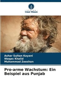 bokomslag Pro-arme Wachstum: Ein Beispiel aus Punjab