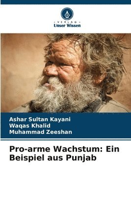 bokomslag Pro-arme Wachstum