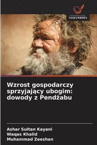 bokomslag Wzrost gospodarczy sprzyjaj?cy ubogim