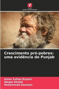 bokomslag Crescimento pró-pobres: uma evidência do Punjab