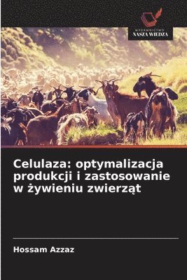 Hossam Azzaz - Celulaza, Häftad