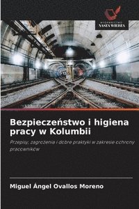 bokomslag Bezpiecze¿stwo i higiena pracy w Kolumbii