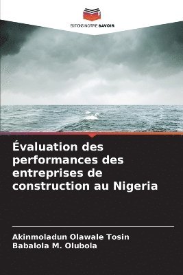 bokomslag Évaluation des performances des entreprises de construction au Nigeria