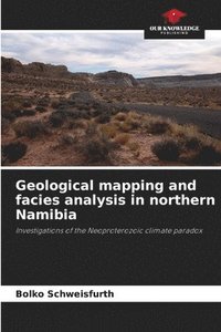 bokomslag Geological mapping and facies analysis in northern Namibia