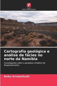 bokomslag Cartografia geológica e análise de fácies no norte da Namíbia