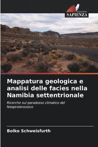 bokomslag Mappatura geologica e analisi delle facies nella Namibia settentrionale
