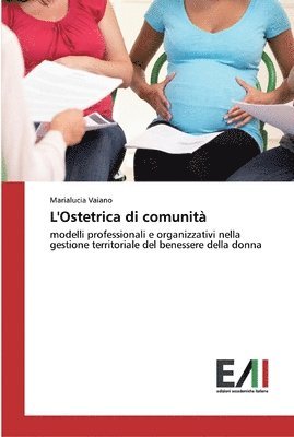 bokomslag L'Ostetrica di comunit