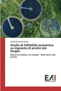 bokomslag Studio di fattibilita economica su impianto di pirolisi dei fanghi.