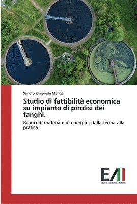 Studio di fattibilita economica su impianto di pirolisi dei fanghi. 1