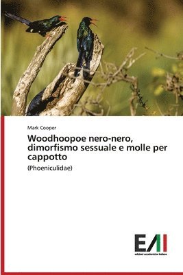 Woodhoopoe nero-nero, dimorfismo sessuale e molle per cappotto 1