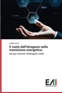 bokomslag Il ruolo dell'idrogeno nella transizione energetica