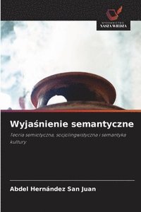 bokomslag Wyja?nienie semantyczne