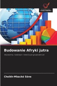 bokomslag Budowanie Afryki jutra