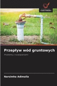 bokomslag Przeplyw wód gruntowych