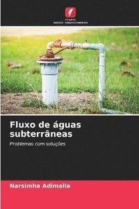 bokomslag Fluxo de águas subterrâneas
