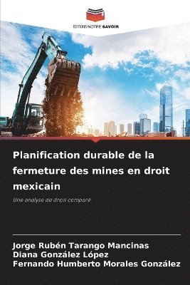 bokomslag Planification durable de la fermeture des mines en droit mexicain