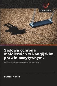 bokomslag S?dowa ochrona maloletnich w kongijskim prawie pozytywnym.