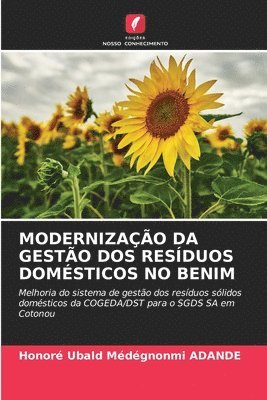 bokomslag MODERNIZAÇÃO DA GESTÃO DOS RESÍDUOS DOMÉSTICOS NO BENIM
