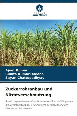 Ajeet Kumar, Sunita Kumari Meena, Sayan Chattopadhyay - Zuckerrohranbau und Nitratverschmutzung, Häftad