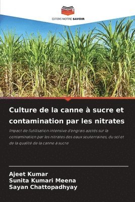 Ajeet Kumar, Sunita Kumari Meena, Sayan Chattopadhyay - Culture de la canne à sucre et contamination par les nitrates, Häftad