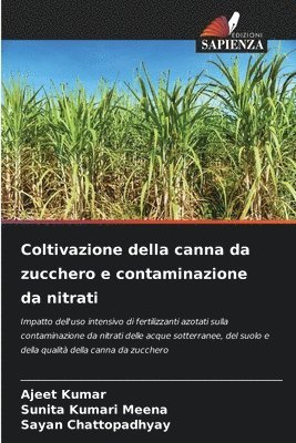 Ajeet Kumar, Sunita Kumari Meena, Sayan Chattopadhyay - Coltivazione della canna da zucchero e contaminazione da nitrati, Häftad
