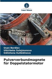 bokomslag Pulververbundmagnete für Doppelstatormotor