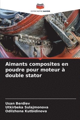 bokomslag Aimants composites en poudre pour moteur à double stator
