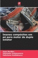 bokomslag Ímanes compósitos em pó para motor de duplo estator
