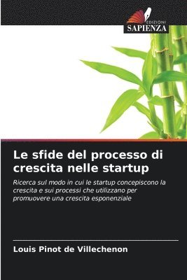 Louis Pinot de Villechenon - Le sfide del processo di crescita nelle startup, Häftad