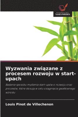 bokomslag Wyzwania zwi¿zane z procesem rozwoju w start-upach