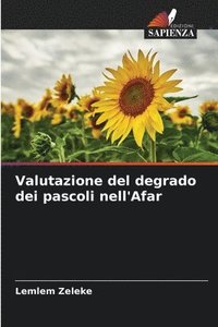 bokomslag Valutazione del degrado dei pascoli nell'Afar