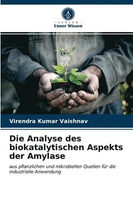 Die Analyse des biokatalytischen Aspekts der Amylase 1