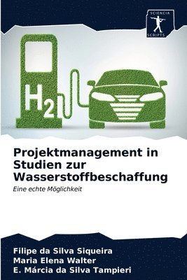 Projektmanagement in Studien zur Wasserstoffbeschaffung 1