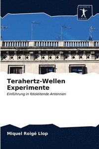 bokomslag Terahertz-Wellen Experimente