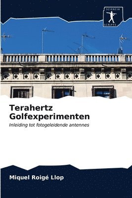 bokomslag Terahertz Golfexperimenten