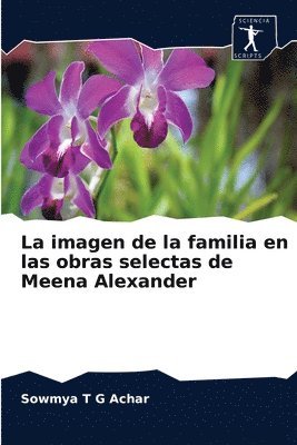 bokomslag La imagen de la familia en las obras selectas de Meena Alexander
